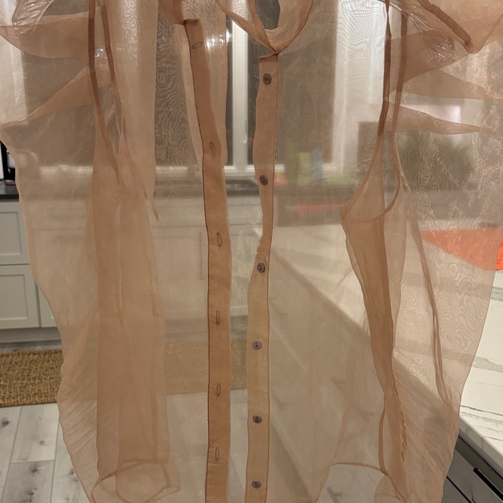 Zara Sheer Beige Blouse - Picture 6 of 7